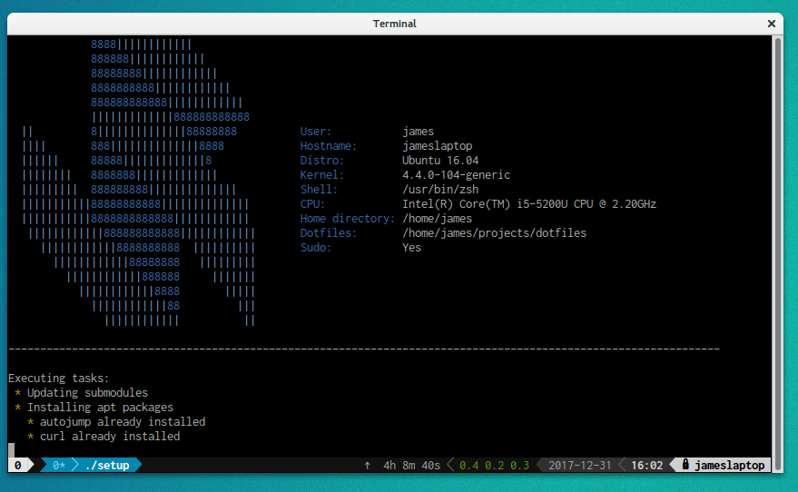 Dotfiles setup script running in terminal