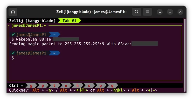 Issuing wakeonlan command from a terminal window