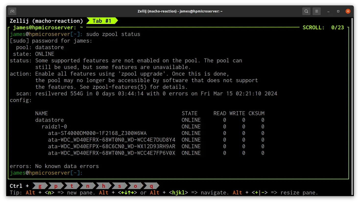 ZFS pool resilvered and online